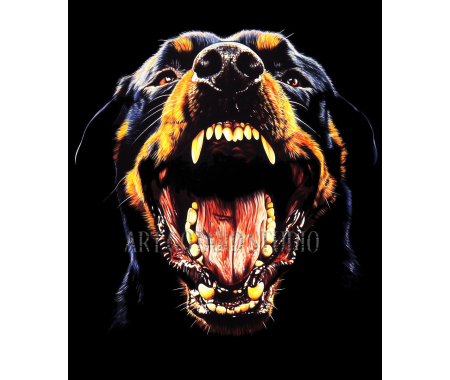 Koszulka Rottweiler 100% bawełna luźna koszulka, głowa psa